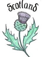 Scottish Thistle Tattoo