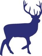 Deer Silhouette N4