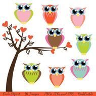 Baby Owl Clip Art N24