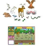 Ecosystem Project