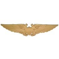 NFO Naval Flight Officer Wings