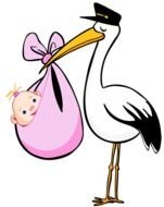 Baby Girl Stork Clip Art N2