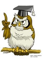 Cartoon Owl N5