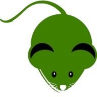 Mouse And Keyboard Games