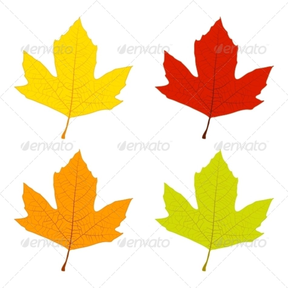 Autumn Leaves Seasons Download