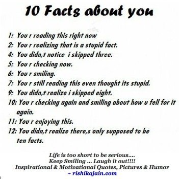 Funny Jokes And Quotes