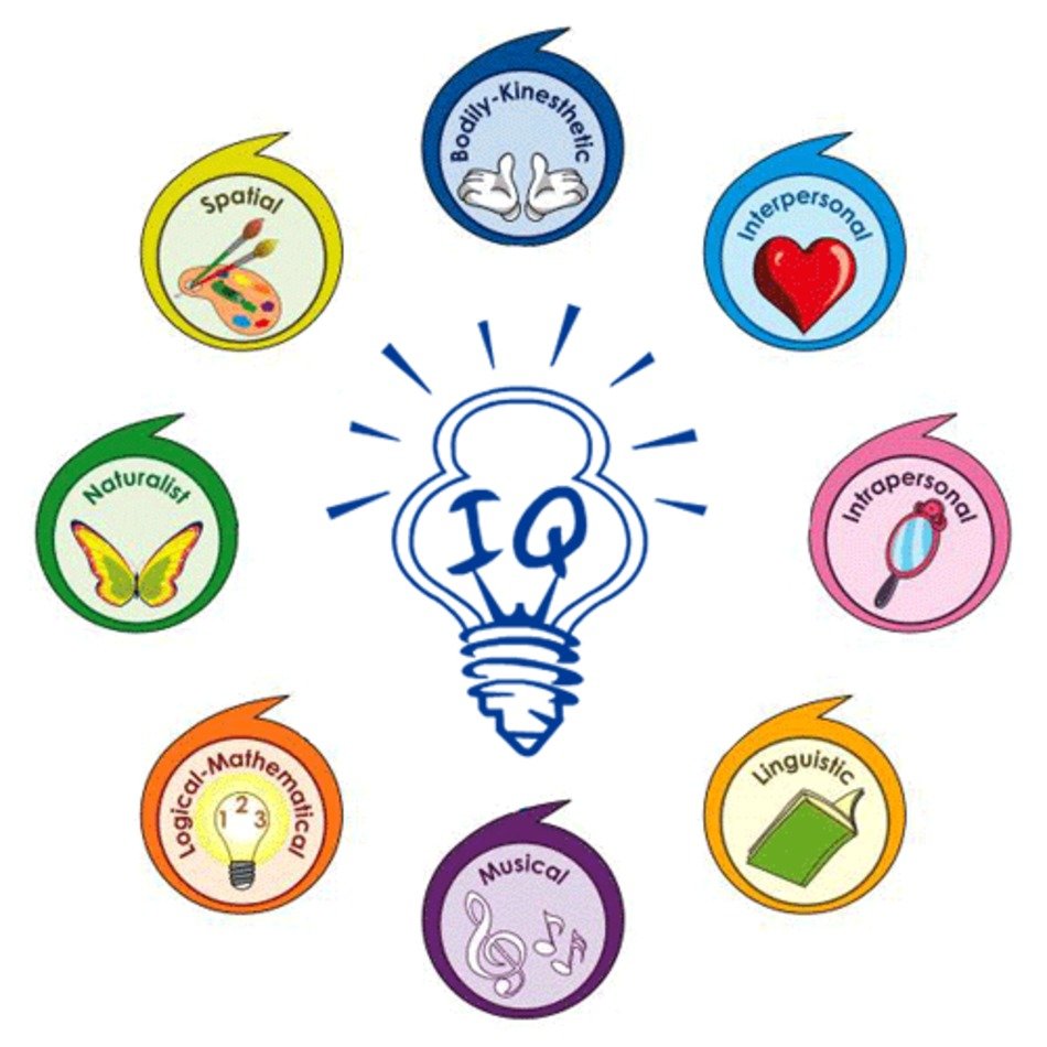 Gardners Multiple Intelligences N2