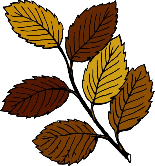 Cartoon Leaves Clip Art N12