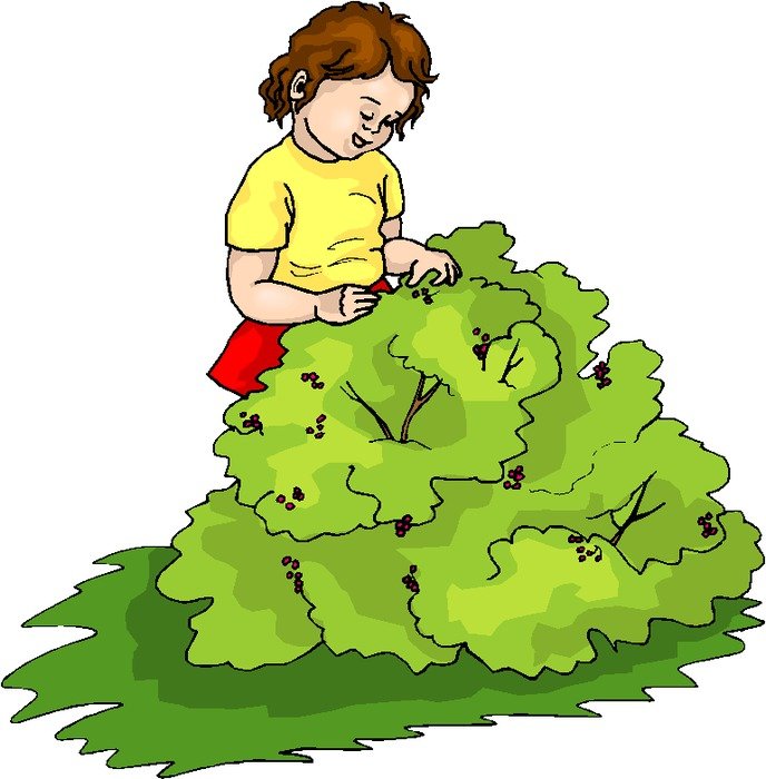 Microsoft Free Clip Art People N4