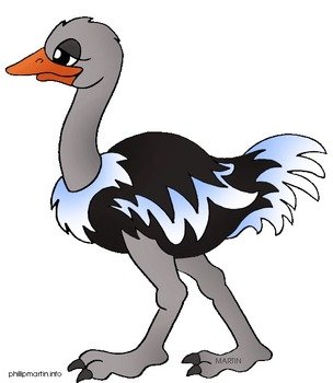 Ostrich Clip Art N4
