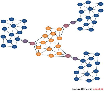 Protein Structure And Function