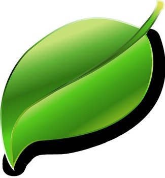 Leaf Clip Art N29