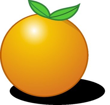 Orange Clip Art N29