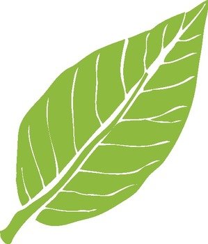 Leaf Clip Art N30