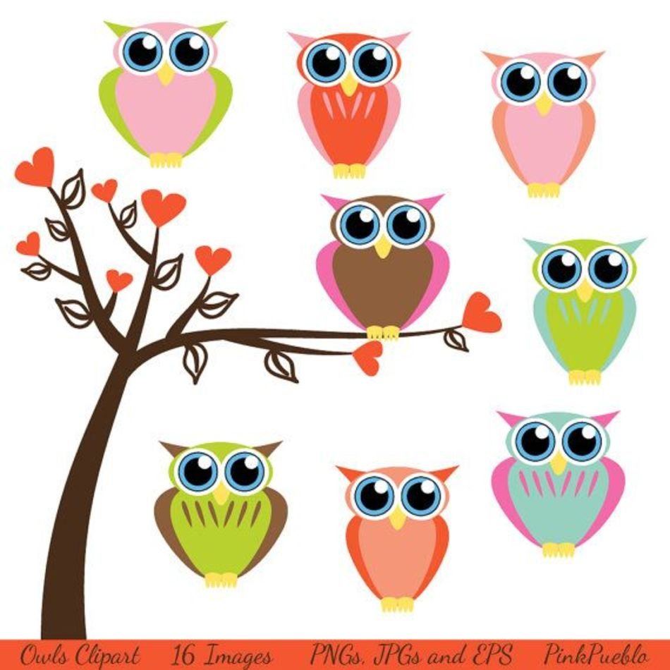 Baby Owl Clip Art N24