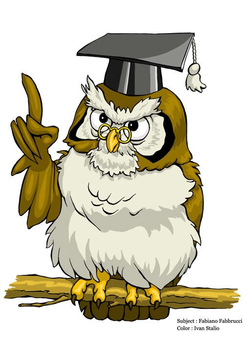 Cartoon Owl N5