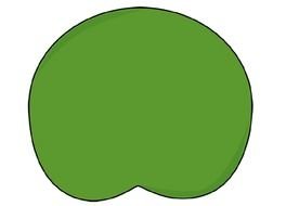 Lily Pad Template drawing