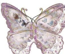 Butterfly Clip Art N81