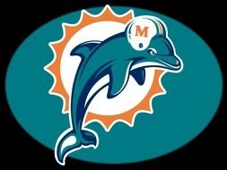 Miami Dolphins logo on a black background