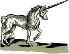 unicorn as a black and white graphic illustration