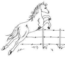 Horse Jump Drawing