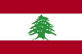 red-white flag with the image of a green tree