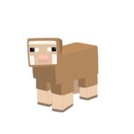 Minecraft SHEEP
