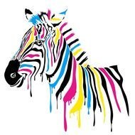 CMYK Zebra