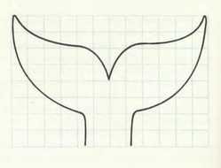 Whale Tail Template