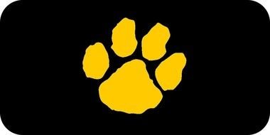 Ä°llustration of yellow Wildcat Paw Print