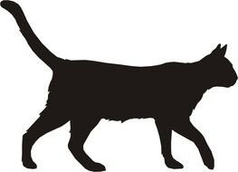 Cat Silhouette N2
