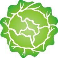Lettuce Clip Art N9