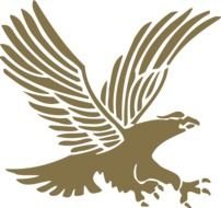 airport symbol with eagle