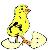 drawing of a chicken near an egg shell