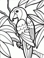 big Bird Coloring Pages drawing