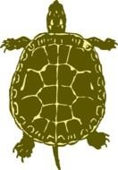 Turtle as a graphic illustration