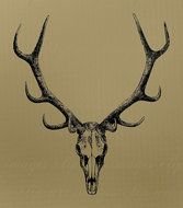 Elk Antler Clip Art Free
