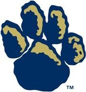 Panther Paw Logo N2