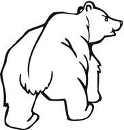 Grizzly Bear Coloring Page Printable N2