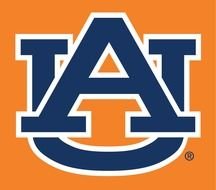 Auburn Tigers Logo N8