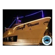 Party Boat Rides In NYC