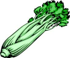 Celery Sticks Clip Art