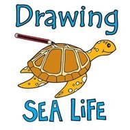 How To Draw Cartoon Sea Creatures