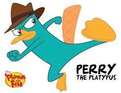 Secret Agent Perry drawing