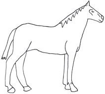 Horse Cut Out Pattern