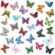 Circle Of Butterflies