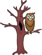 Cartoon brown owl on the tree clipart