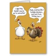 Funny Chicken N2