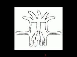 Clip art of coral reef