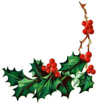 Holly And Ivy Clip Art